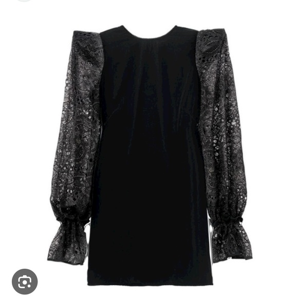 Elegant Black Lace Sleeve Dress - Picture 2 of 6